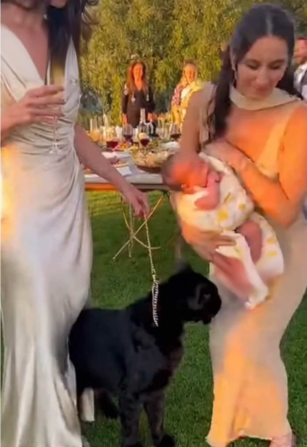 🐆Manche Babys krabbeln… andere starten direkt nen National-Geographic-Moment 😂 Baby und Leopard 