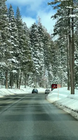 #laketahoecalifornia #fypシ゚viral🖤tiktok #fypシ゚viral #foryourpage #fyp 