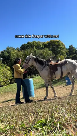 for only having him about 4 weeks he’s a completely different horse! #actives? #fyp #casper 