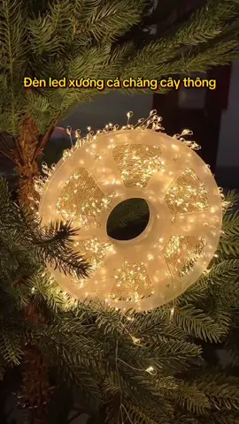 Led xương cá Fairy light chuyên chăng cây thông #tiktoklive #livehighlights l