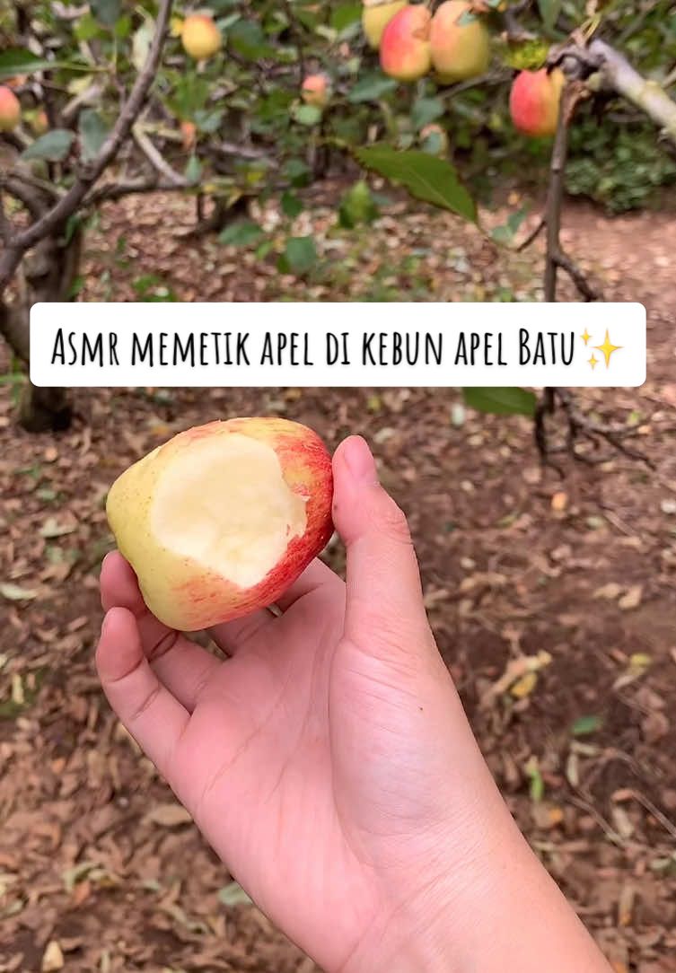 wish list waktu kecill mauu petik apel di Batu✅ #as #petikbuah #batumalang #fyp #fypシ゚ 