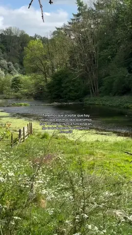 Video by: byrachwoof | ig: _esmee25