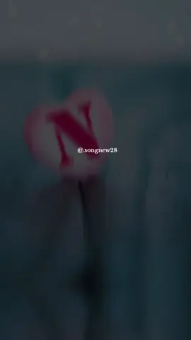 #standwithkashmir #songnew28 #tiktok #foryoupage #foryou 