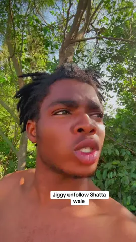 Big jiggy unfollow Shatta wale #nigeriatiktok🇳🇬🇳🇬🇳🇬 #ghanatiktok🇬🇭 #fypシ゚ #treanding #viralvideos 
