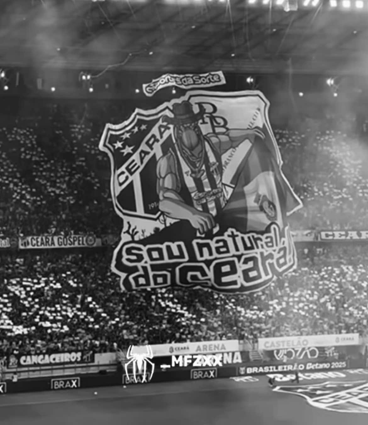 a soberba de TODOS vocês precedeu a queda que tanto temiam acontecer. #ceara #fy #edit #torcida 