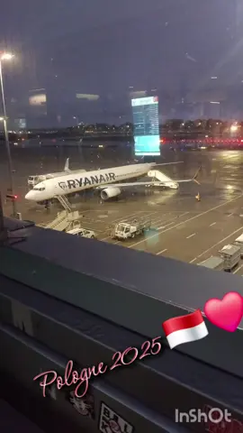 Pologne 2025 #nessoudant #poznan #polska🇵🇱  #pologne #famille 