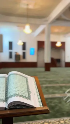 #قران#مسجد#تلاوة_خاشعة #مصحف#صوت 
