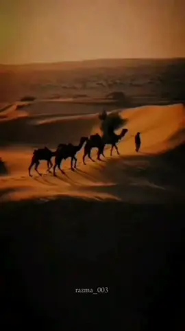 ای ساربان آهسته ران_آرام جانم می رود #lyrics_song  #emotionalvibes  #romanticsong  #foryou #100k 