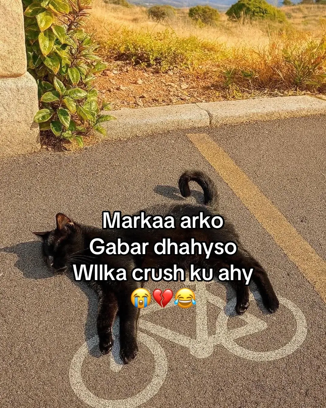 Wa kudamqnya 😂