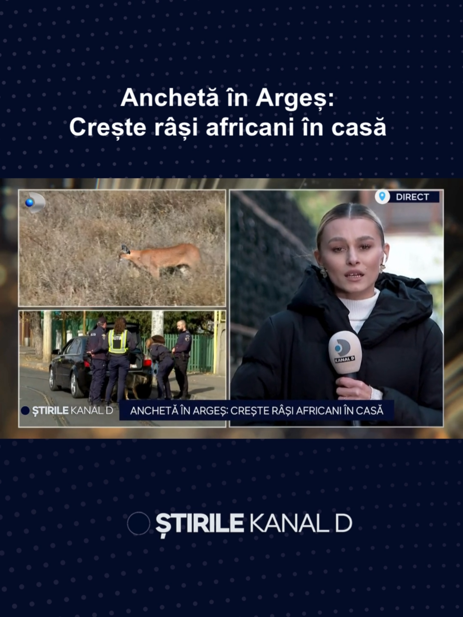 Un bărbt din Argeș e anchetat de polițiști pentru că deține în gospodărie doi râși africani.  🔵 Proprietarul îi creștea ca pe niște animale de companie oarecare.  #kanaldromania #stirilekanald #dailynewskanald #showbiz