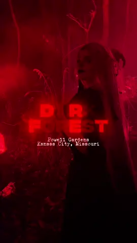 🖤❤️ DARK FOREST GIVEAWAY ❤️🖤. Ready to experience Dark Forest for yourself? Enter to win 2 free tickets by following the steps below: 1 - Follow @tricianibarger + @Powell Gardens  2 - Comment your favorite spooky emoji on this post 3 - Bonus: Tag friends for extra entries (1 tag per entry!) You can also get a bonus entry on my IG! Winner will be selected on Wednesday, October 22nd. This contest is not sponsored or endorsed by TikTok. Open to U.S. residents ages 18+ only. #creatorsearchinsights #kcmo #thingstodoinkc #darkforest #kansascity 