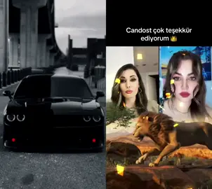 #duet cu @🇹🇲MİHRİBAN🇹🇷 #adrian #tiktokviral #chellenger #turcia 