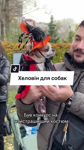 «Хеловін для собак» пройшов у Києві у парку Наталка. Захід організував благодійний фонд «Янголи хвостиків» з метою збору коштів на відбудову притулку для тварин із Донецької області. Для хвостиків і їх господарів проводили різні активності, в тому числі конкурс на найстрашніший парний костюм. #хвостики #хеловін #цікавийкиїв #собака 
