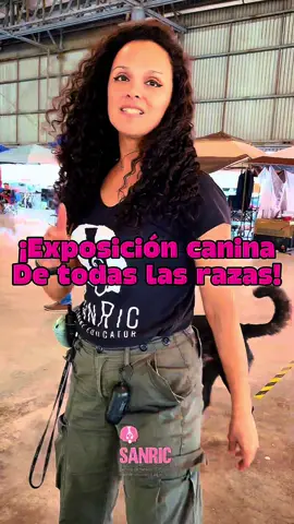 Te vamos a mostrar un poco de lo que se ve en la exposición canina de todas las razas este 18 y 19 de octubre 😎 #exposicioncanina #sanriccanineducator #adiestradorcanino #educacioncanina #lenguajecanino 
