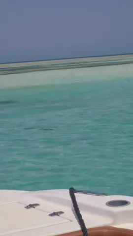 are you  ready  be naked🤣😂😂