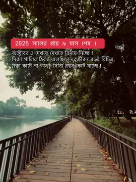 2025 সালের প্রায় ৯ মাস শেষ । অক্টোবর ও দেখতে দেখতে বিদায় নিচ্ছে ! মির্জা গালিব ঠিকই বলেছিলেন 