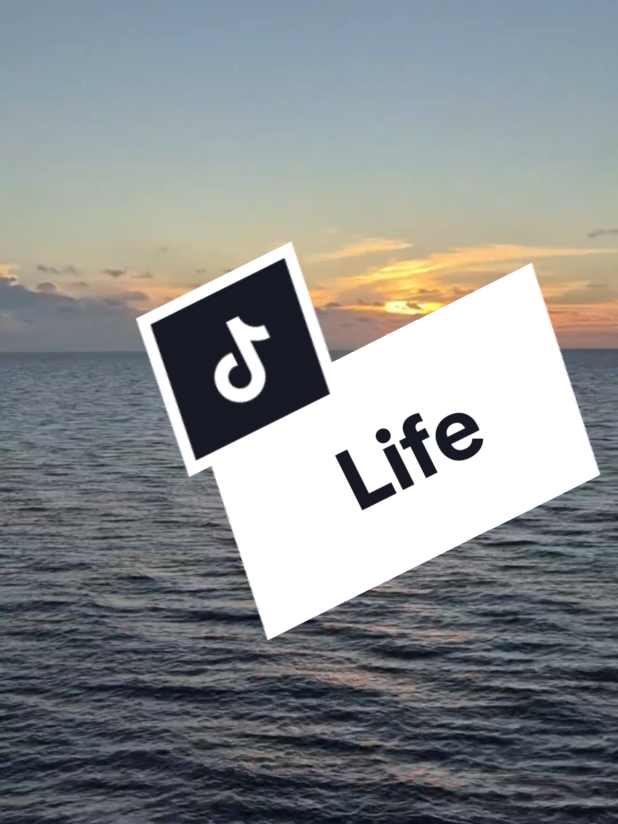 #CapCut #wifi #unstable #floridalife🌴 