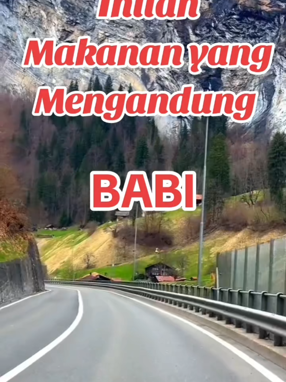 #Inilah Istilah Makanan Yang Mengandung Babi#