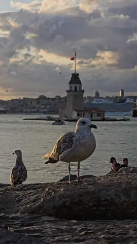 19:19 Gördüğün saati yaz 🫶 📍kız kulesi üsküdar İstanbul 