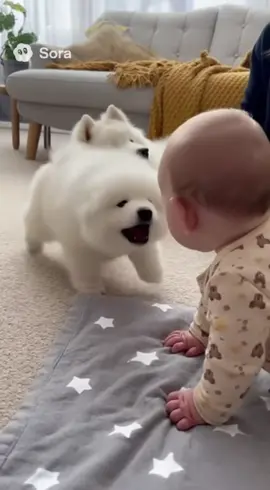 退場😂 #赤ちゃん #あかちゃん #犬 #いぬ #犬のいる生活 