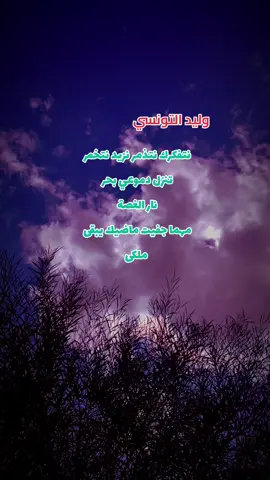 #creatorsearchinsights @Walid Tounsi @⚔️🐅el_kawwel_الكوال🐅⚔️  _موسيقى مزود تونسية  _ترند  _وليد التونسي  #mezwed #ربوخ_التونسي_كي_العادة🇹🇳🇹🇳 #tunis_alg_maroc_tiktok🇩🇿🇲🇦🇹🇳 #ناس_الغربة🇮🇹🇮🇹🇲🇦🇹🇳🇹🇯🇲🇫🇱🇾🇹🇳 