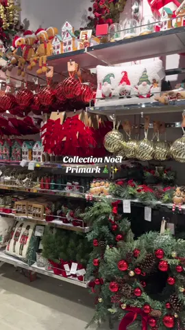 Noël : ma passion !! J’avais envie de tout acheter 🥲🎄✨Mais trop dommage il n’y avait pas la vaisselle !!  #noel #christmas #deco #homedecor #christmasdecor 