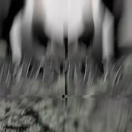 [mikami]Mikami edit✍️😎|| Rate my edit||id:@𝕍𝕒𝕝𝕥 🇬🇪|| #deathnote #deathnoteedit #mikami #mikamiteru #foryoupage 