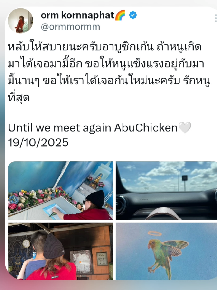 Now I understand why Orm was on the verge of tears. Sending you a warm virtual hug, Orm. I know how much Abu Chicken meant to you. It wasn’t just a gift from Lingling Kwong… it was your little family, your baby. Losing something that holds that kind of love must hurt so deeply #linglingkwong #ormkornnaphat #abuchicken 