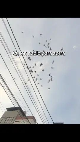 #paratiiiiiiiiiiiiiiiiiiiiiiiiii🦋 no doña #😂😂😂😂😂 #fypシ゚ 
