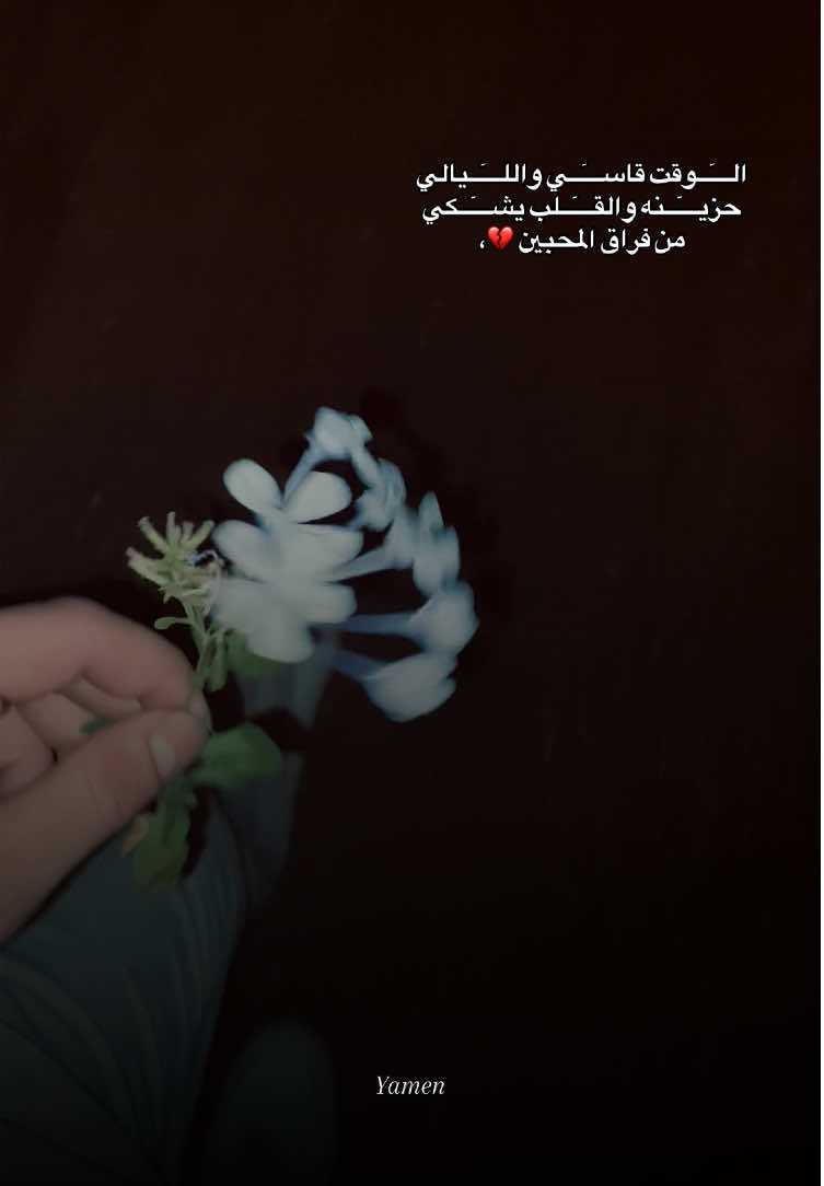 الــــٓــوقت قاســــٓــي واللــــٓــيالي حزيــــٓــنه والقــــٓــلب يشــــٓــكي من فراق المحبين 💔، 
