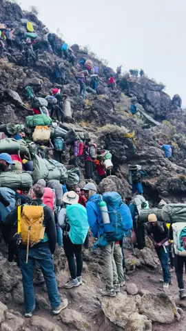 Immerse yourself into unforgettable journey to the roof of Africa with Kilitop Adventure. Book your Kilimanjaro climb today .! ☎️Call/Whatsapp:+255741545058 📤info@kilitopadventure.com #fyp #viral #fyppppppppppppppppppppppp #fpp #viraltiktok 