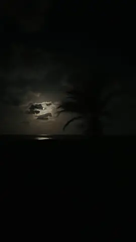 The beauty of the moon                                 #fyp #like #explore #moon 