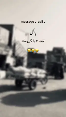 Ahoo😂😂#creatorsearchinsight #onemillionaudition #plz #urdopoetry #viral 