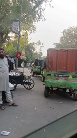 #islamicbackground #tiktok #fyp #creatorsearchinsight 