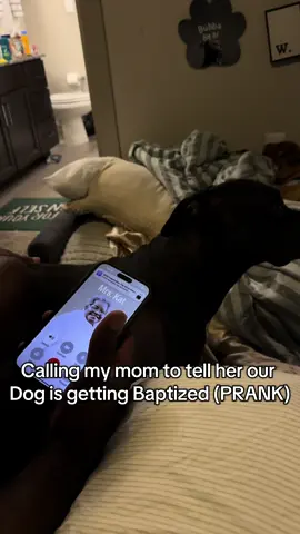 Yall seee where I get my personality from? (Mind you my parents are in there late 60s and early 70s) #dogsoftiktok #dogbaptism #prank #funnyvideo #prankcall 