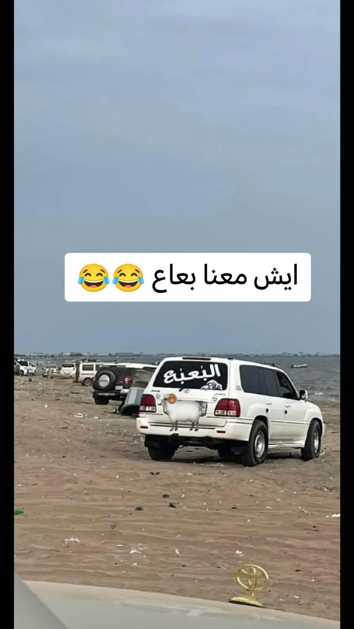 #اليث #اليافعي# #الشعب_الصيني_ماله_حل#اكسبلور 