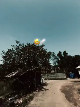 😅💔#capcut #catsoftiktok #foryoupage #viraltiktok 