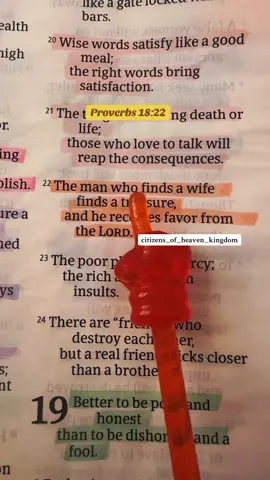 finding a wife is a valuable, blessed gift from God, not just a chance occurrence. . . . . . #bible #biblejournaling #biblequote #biblequotes #biblestudy #bibleverse #bibleverseoftheday #bibleverses #blessed #christianity #church #god #godisgood #gospel #holybible #jesuschrist #jesuslovesyou #Love #pray #prayer #prayerchangesthings #prayerlife #prayerrequest #prayers #prayerworks #praying #scripture #truth #verseoftheday #worship 