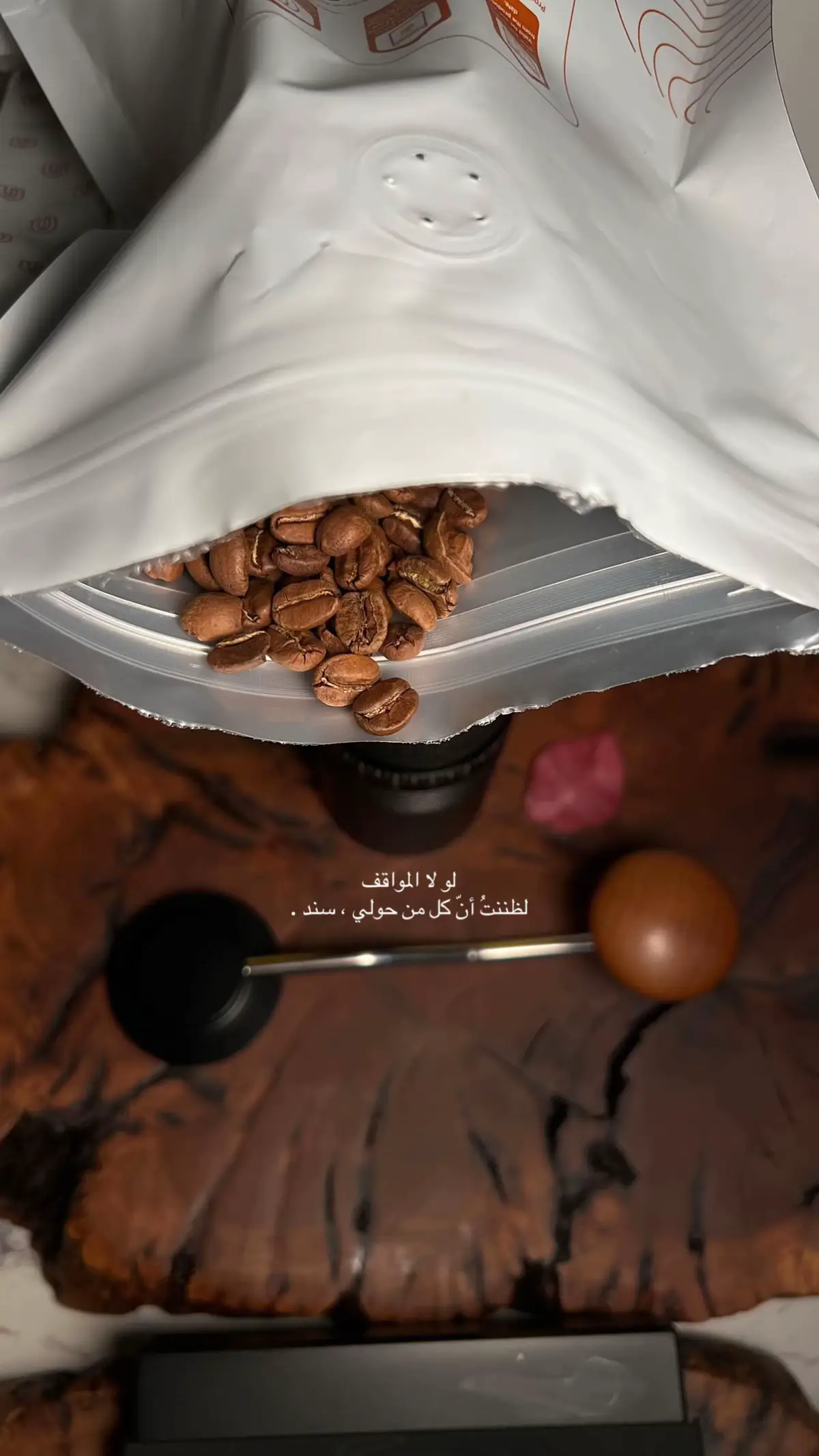 #اكسبلور #viral #بدر_عبدالمحسن 