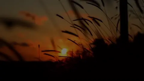 #ادريس_ابكر #سورة_الزمر #قران_كريم 