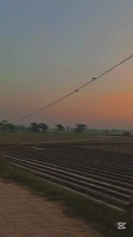 @🌱پنڈاں آلے🌿 🌾🌾🍁🍁🌿🌱🌲🌲🌴🍂🌿🌾🍁@PiNda WALY 