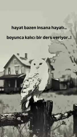 #fyphiraaaaaaa #la ilahe illallah Muhammeden rasulalah 🤲🏻☝🏻