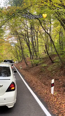 #դիլիջան #армения🇦🇲 