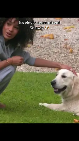 trop chouuu #staracademy #pourtoi #fyp #fan #chien 