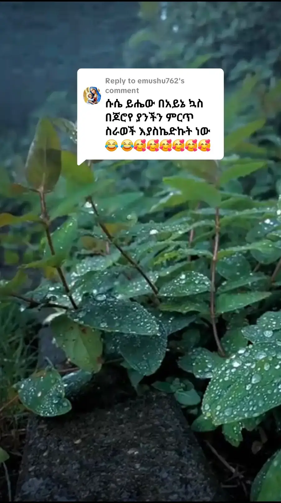 Replying to @emushu762 