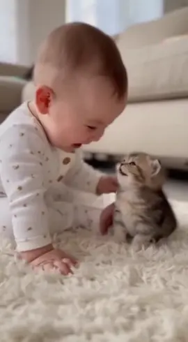 😂 Baby and Feisty Kitten Have a Hilarious 