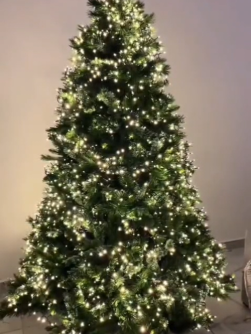 Confira Cordão 500 Leds Com Strobo 50 Metros Prova D'água Natal Bivolt com 5% de desconto! Encontre na Shopee agora! https://s.shopee.com.br/5fgG87LuEO?share_channel_code=1 #natal#arvore#decoração#vpfy 