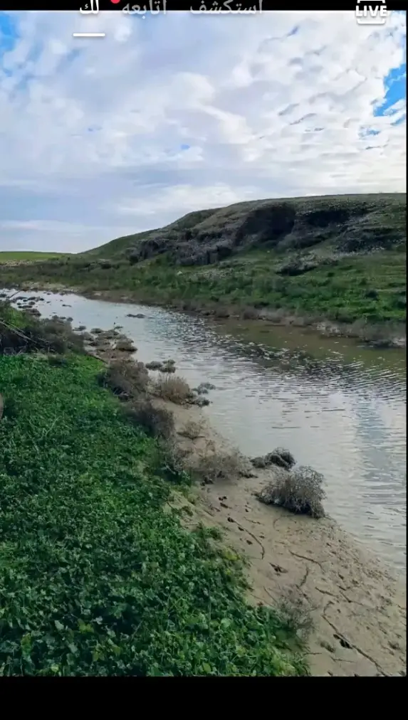 #ابراهيم الملا علي#تكريت_الموصل_بغداد_الانبار_النجف #موصل_بغداد_كركوك_حله_نجف_بصره #عتابة_حزينه😪😪 #الحويجه_دار_العز 