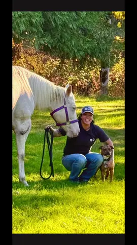 My “mommas girl” Marie loves her cuddles 🥰 #horses #aqha #cremello #treadsoftlyhorsetraining 