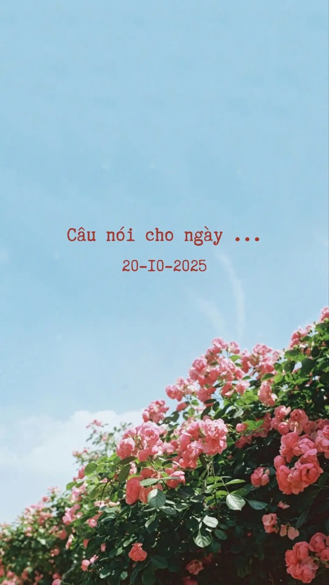 Chúc cho tất cả chị em phụ nữ Việt Nam luôn hạnh phúc, luôn vui vẻ, luôn may mắn như bài hát này nhaa 🌹❤️ #quotes #hot #vungthoigiantz 